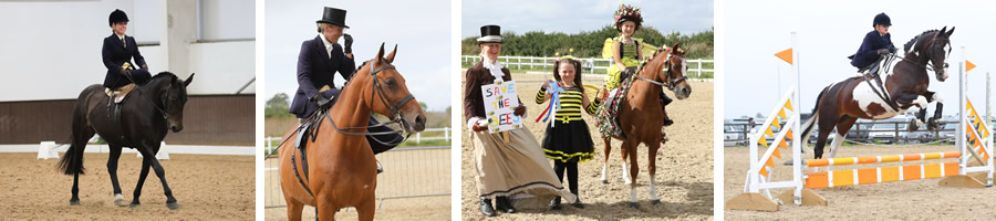 The National Side Saddle Show