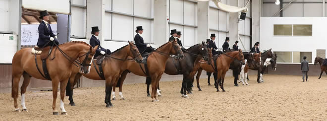 The National Side Saddle Show