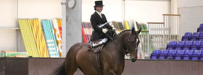 The National Side Saddle Show