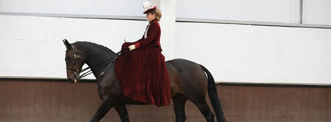 The National Side Saddle Show