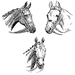 The National Side Saddle Show