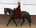 The National Side Saddle Show