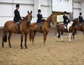 The National Side Saddle Show