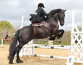 The National Side Saddle Show